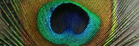 RamjasLomror's profile banner image