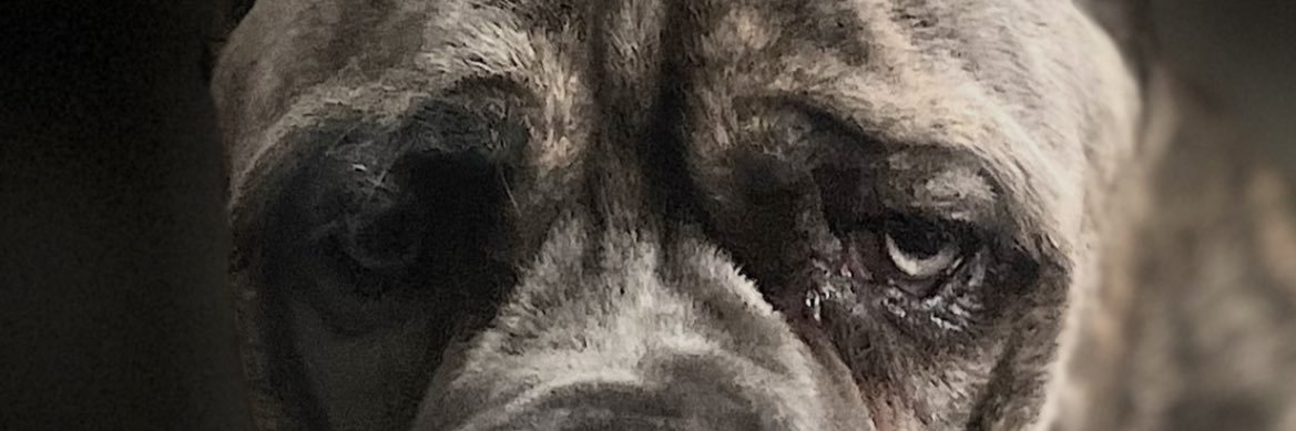adrian2141999's profile banner image