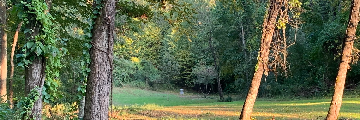 therealRV3's profile banner image