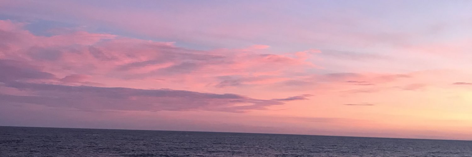 denissecf17's profile banner image