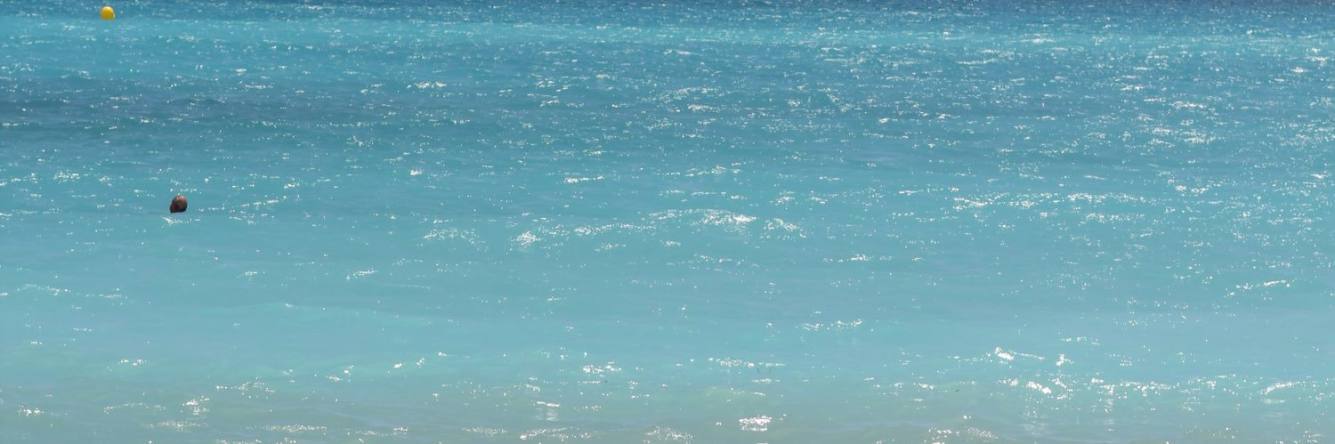 AlessandraE303's profile banner image