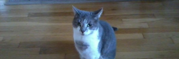 mums52 Profile Banner