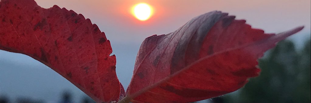 suniljain89's profile banner image