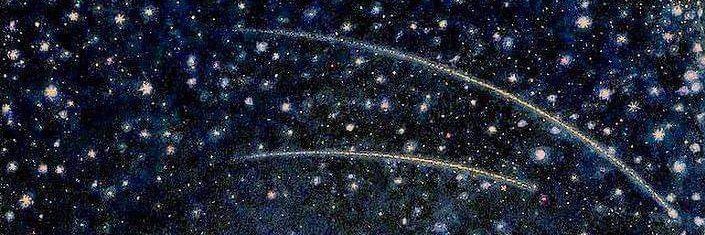 maría josé m.🪴✨ banner