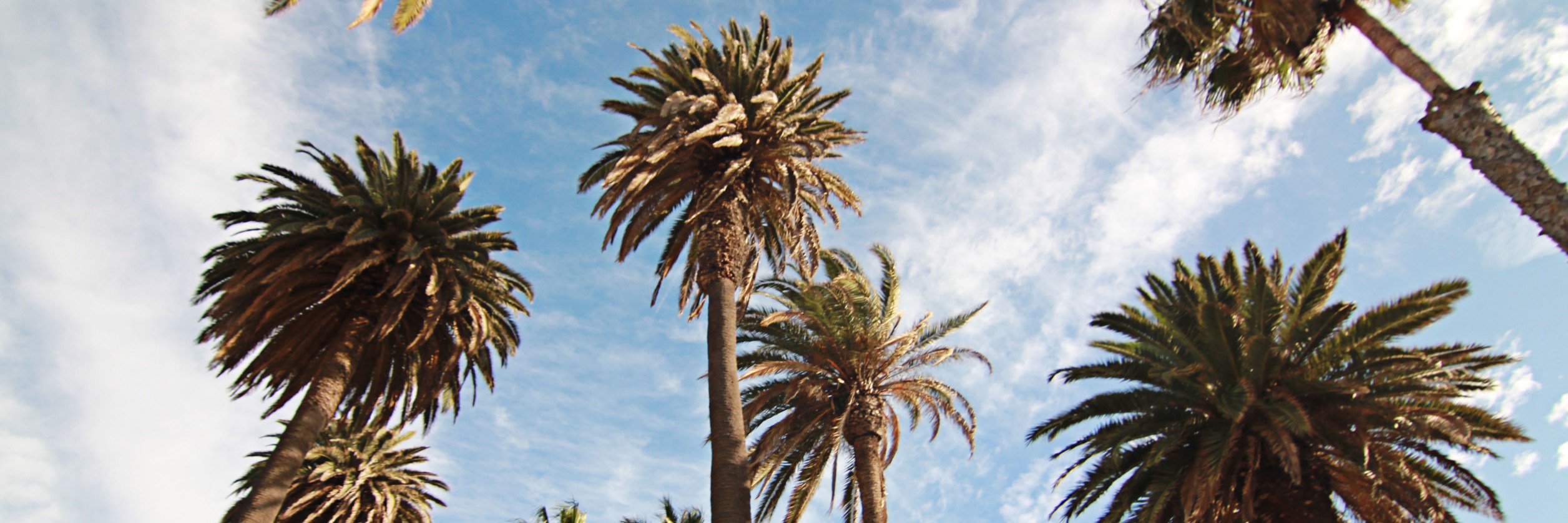 LiveLoveWearit's profile banner image