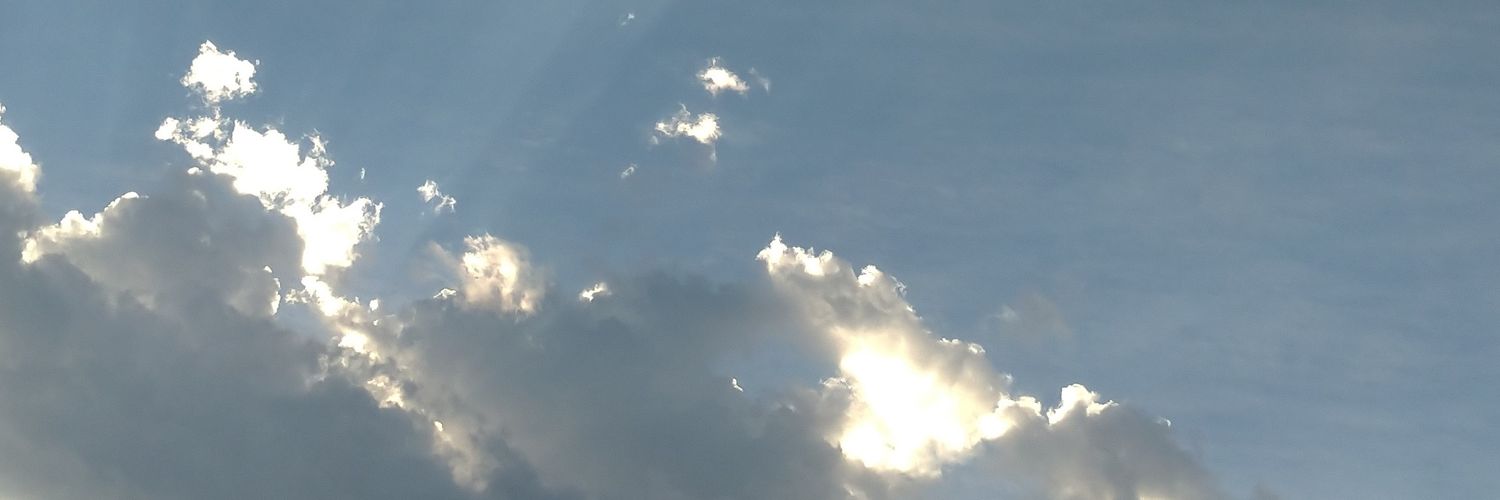 SandySchultz100's profile banner image