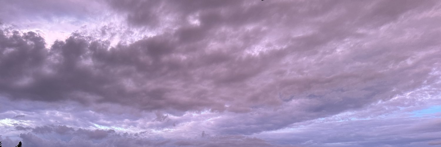 buckyshobbit's profile banner image