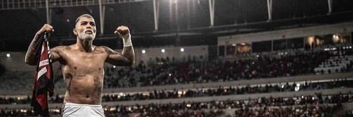 l.c banner