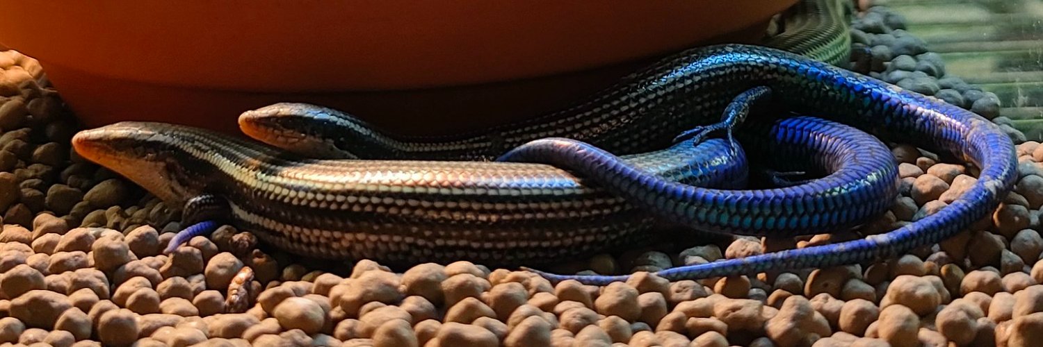 Aosanmini's profile banner image
