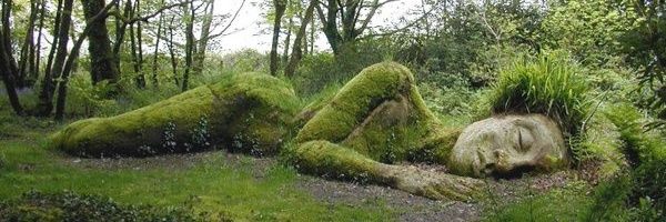 David Edwards banner