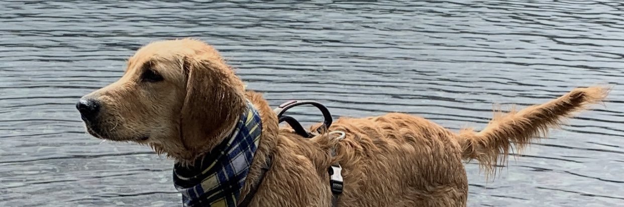 lakynbauder's profile banner image