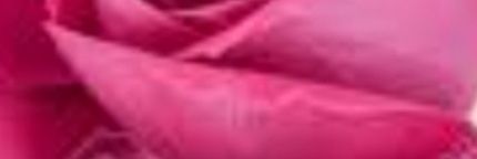 samuhala9's profile banner image