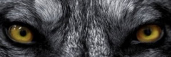 tmoneyy1120 Profile Banner