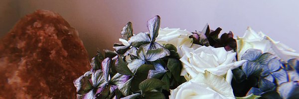 Daisy Grey Profile Banner