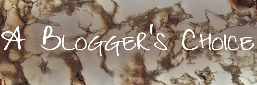 abloggerschoice's profile banner image