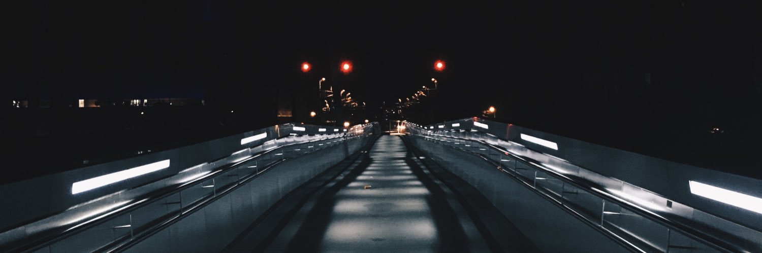 stedelu's profile banner image