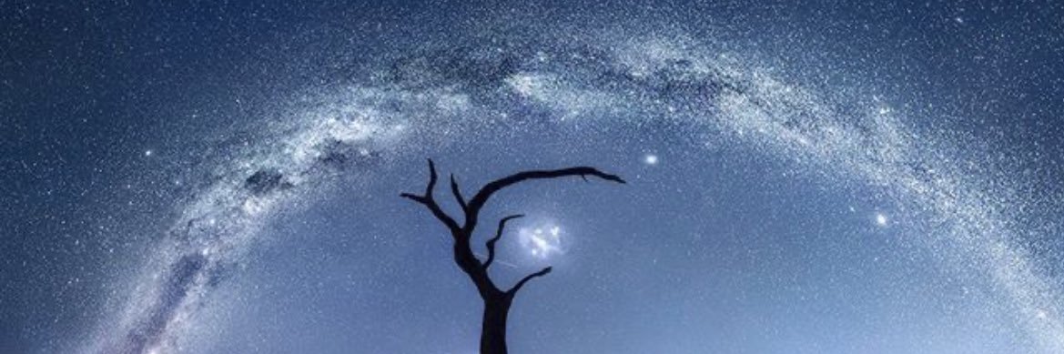 Isabella Tabacchi banner