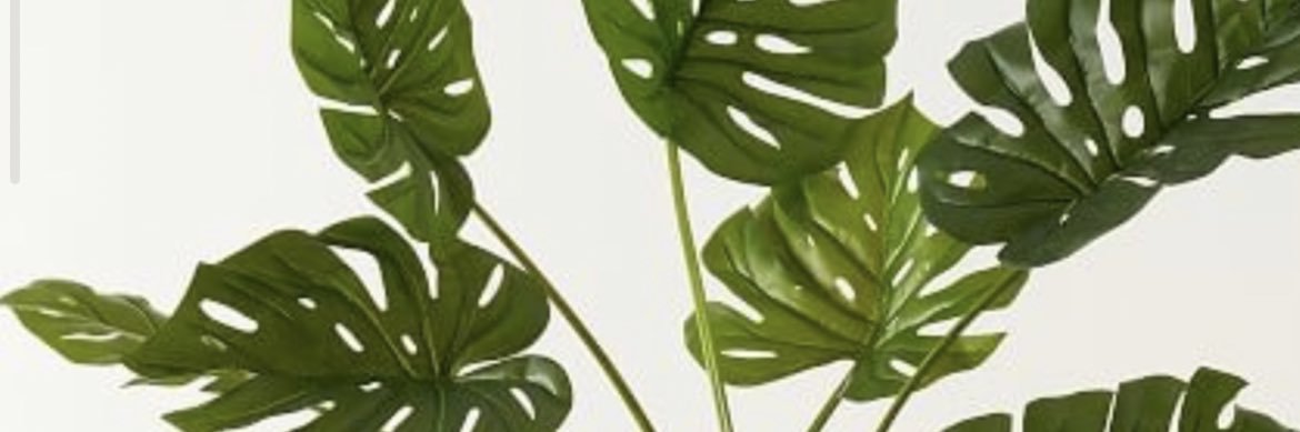رياف الجريس 🕊♎️ . banner