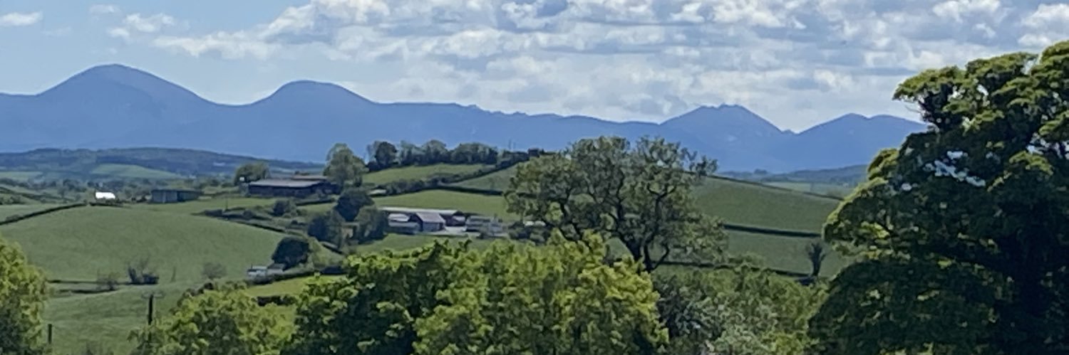 Angela Mooney banner