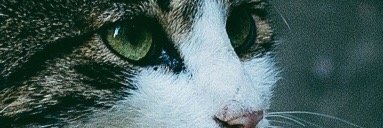 TheHobbit85's profile banner image
