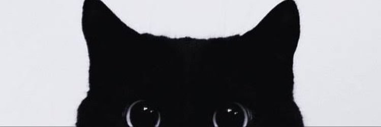 kylie_jender's profile banner image