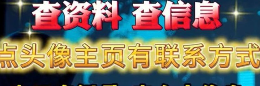 verbeartim's profile banner image