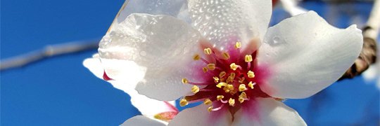 masmallorca's profile banner image