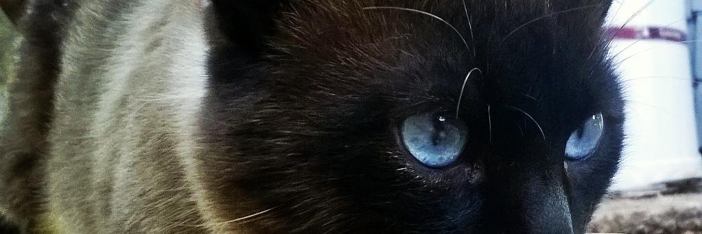 nattinho's profile banner image