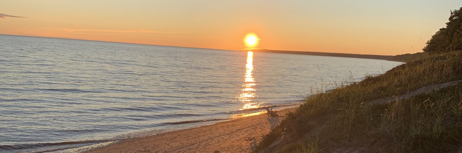 Shannon olson banner