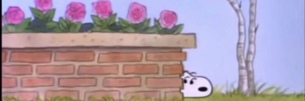 TayloredTweets's profile banner image