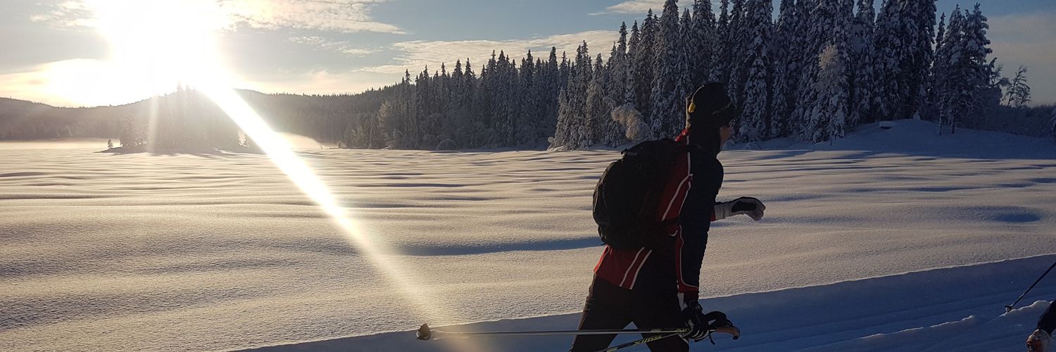 Atle Fossestøl banner