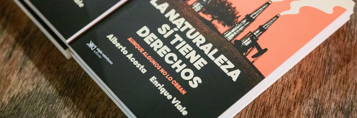 EnriqueViale's profile banner image