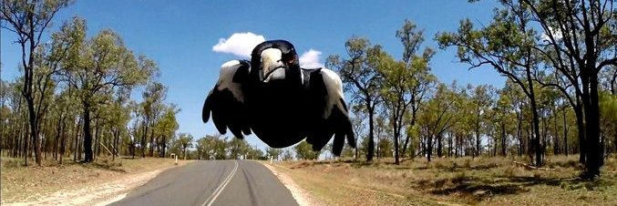 Matthew Sheret banner