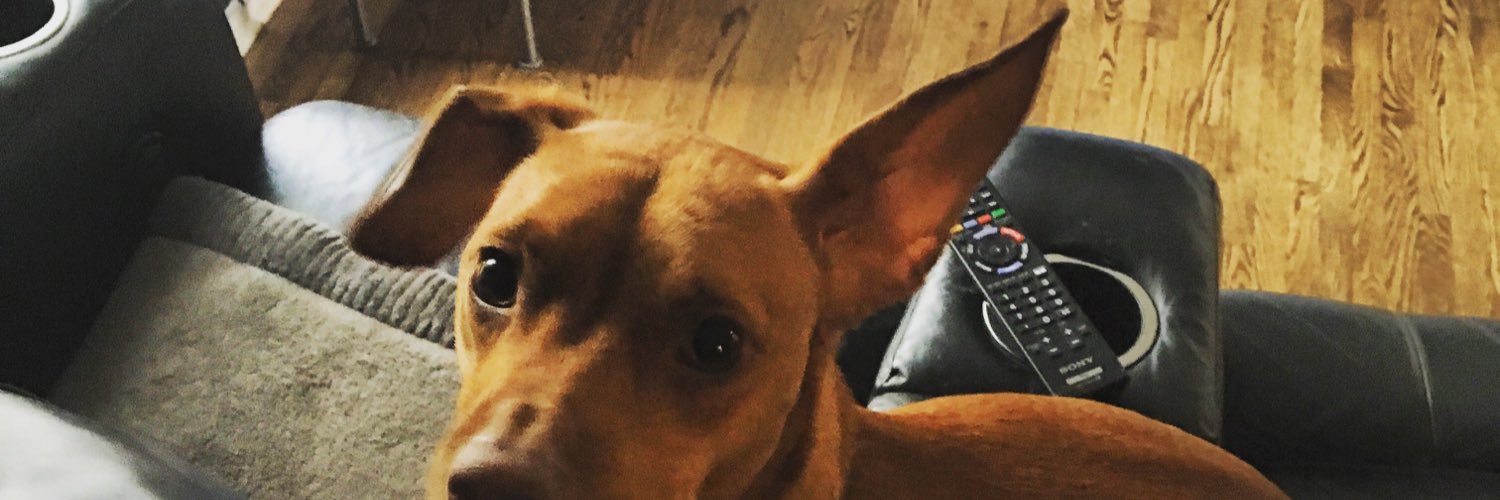 supercoopdog's profile banner image