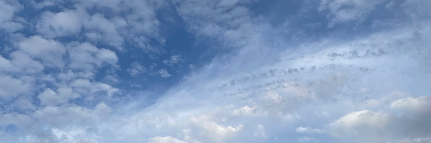 Selsina_'s profile banner image