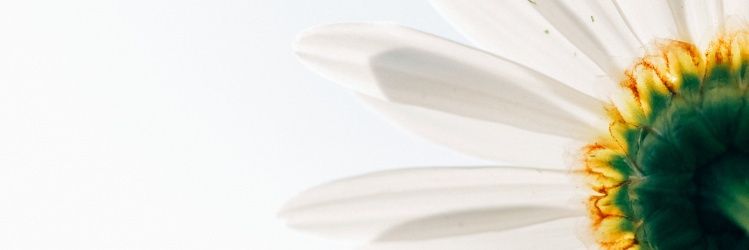 AjengAvrilya's profile banner image