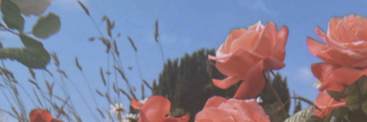 Kate banner
