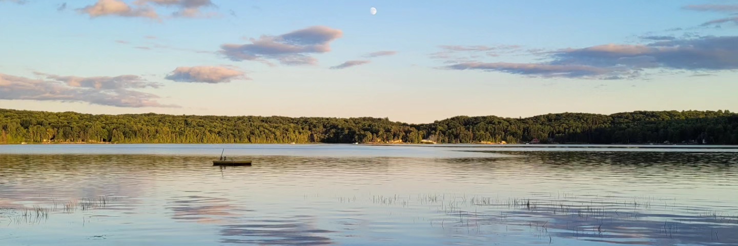 Mike Gindin banner