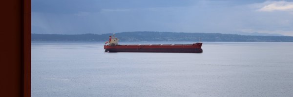 Muskokapetrotec Profile Banner