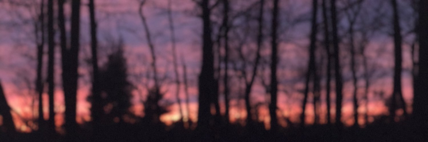Kate banner