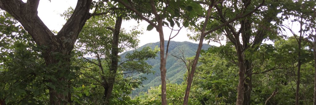 tochigiganpla's profile banner image