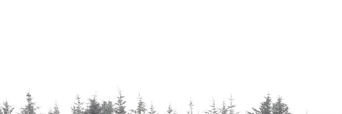 rub_prezar's profile banner image