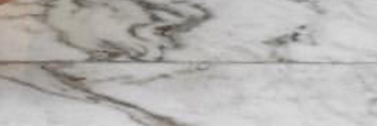 madison_wtms's profile banner image