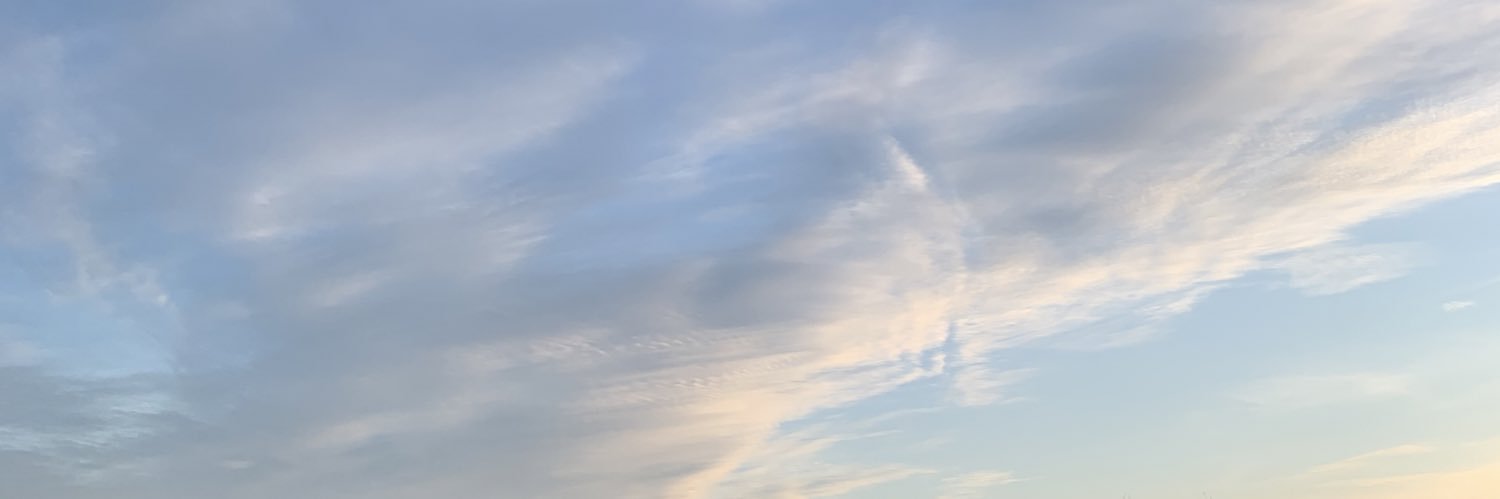 ReesaMarieJ's profile banner image