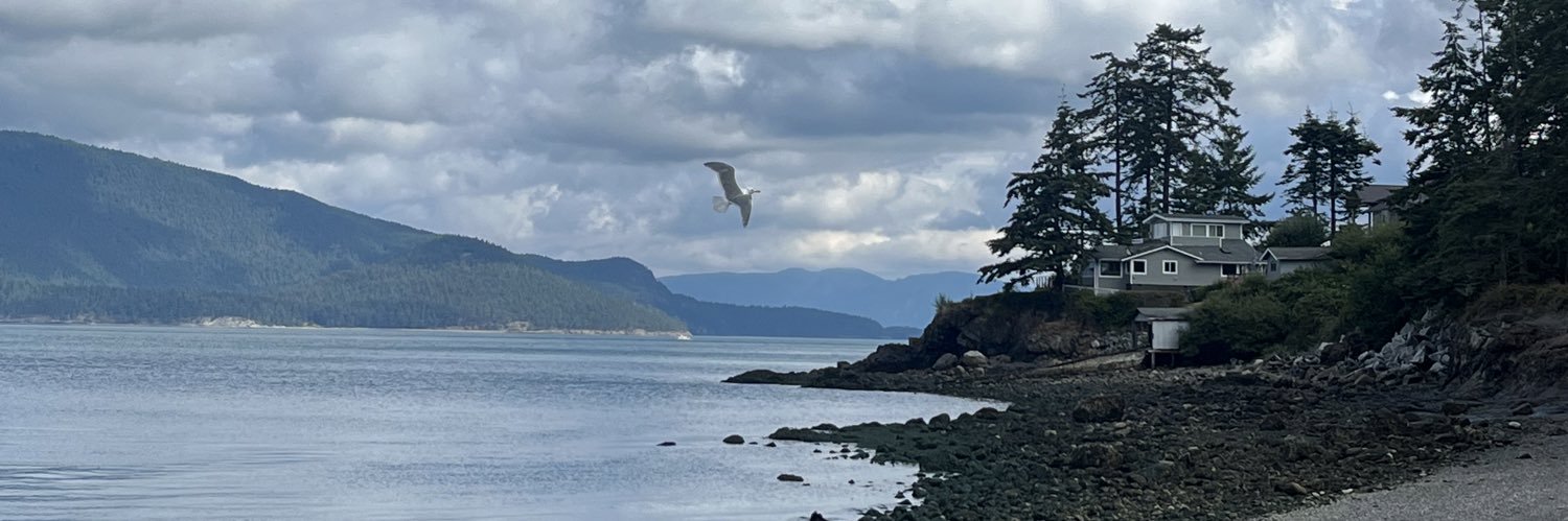 abbyvann1's profile banner image