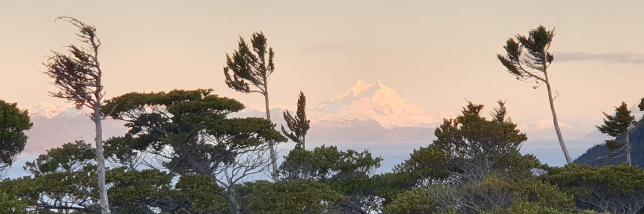 pilipardo's profile banner image