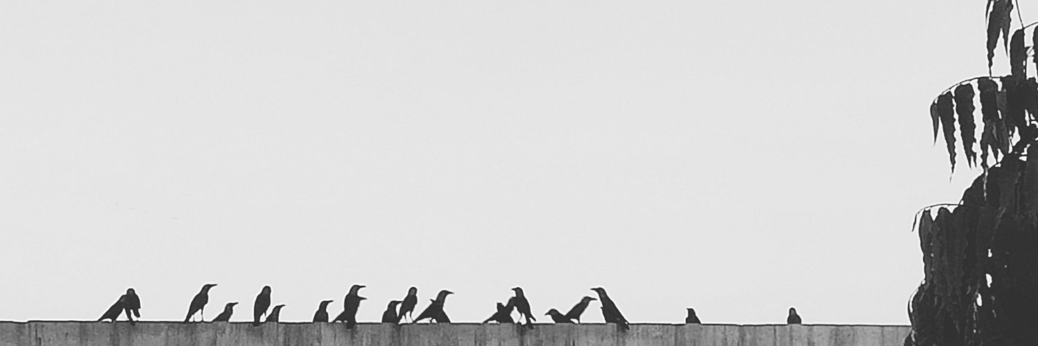 iamvkdop's profile banner image