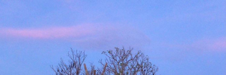 yuai_____'s profile banner image