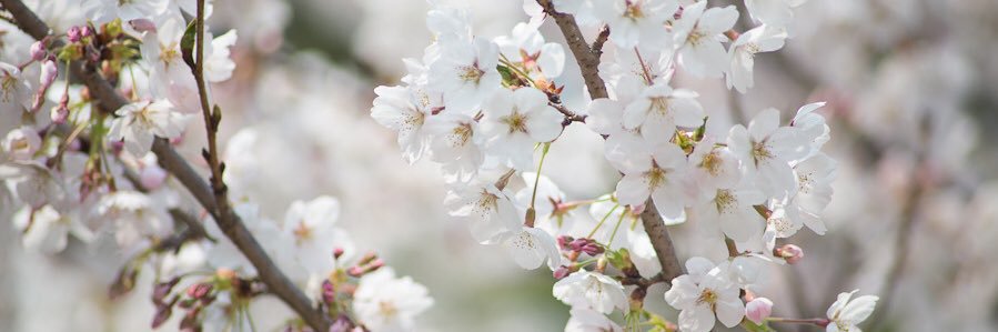 hazelLuv7's profile banner image