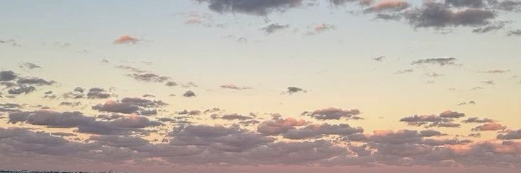 thetinyarmy_'s profile banner image